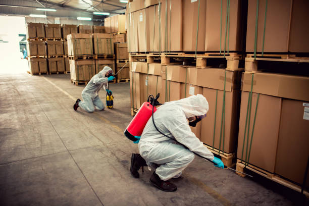 Professional Pest Control in Bensville, MD