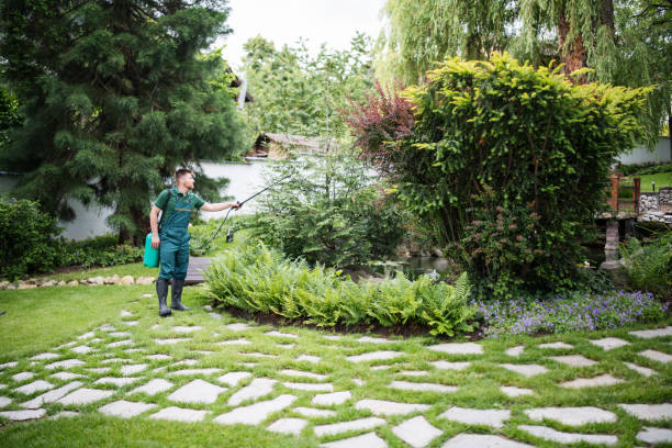 Best Local Pest Control Services  in Bensville, MD