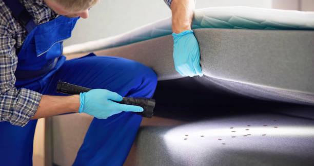 Best Exterminator Services  in Bensville, MD
