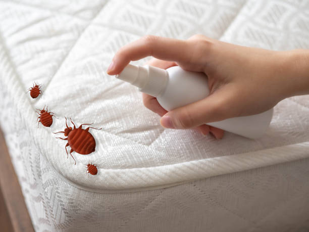 Best Commercial Pest Control Services  in Bensville, MD